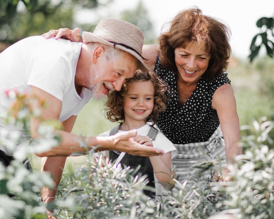 Children's Dental Services, Sherwood Park Dentist